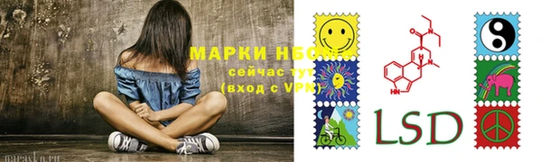 трава Карпинск