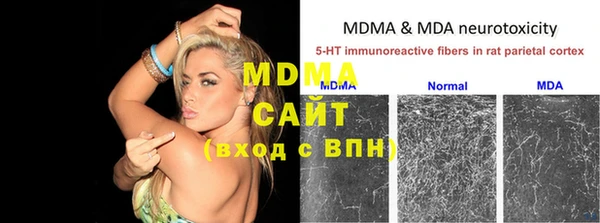 трава Карпинск
