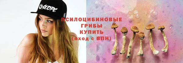 хмурый Апатиты