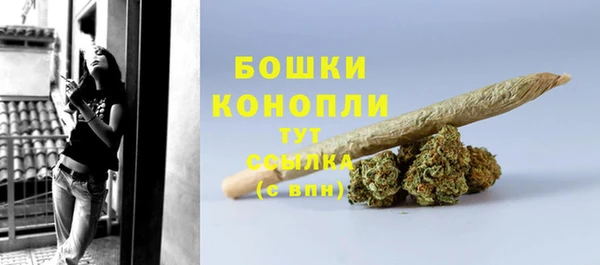 мдпв Анива