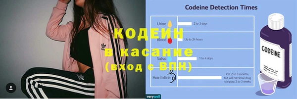амф Касимов