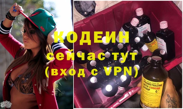 PSILOCYBIN Карталы