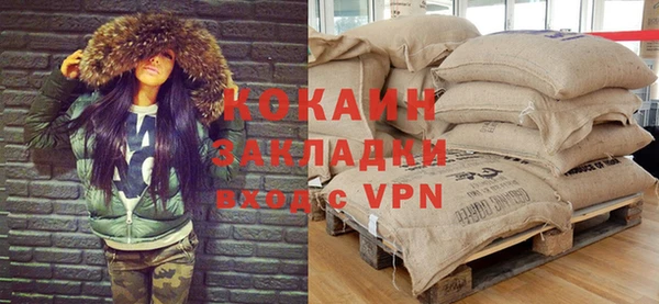 трава Карпинск