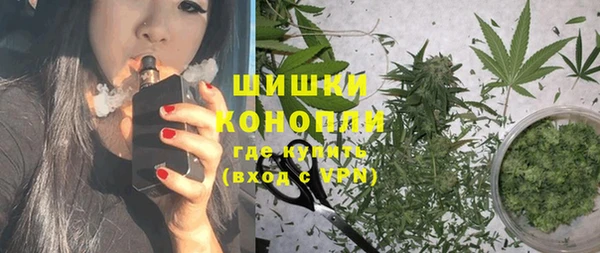 индика Анжеро-Судженск