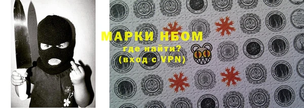 мдпв Анива
