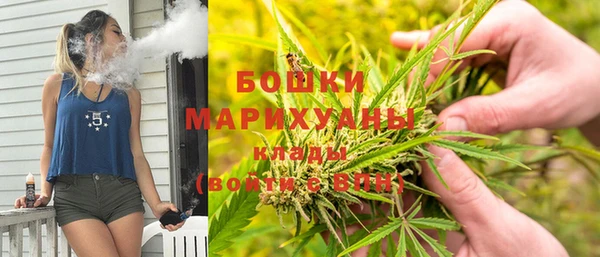 трава Карпинск