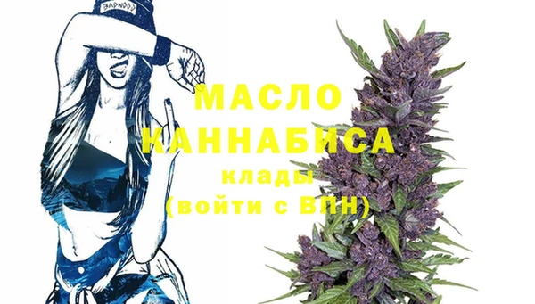 индика Анжеро-Судженск