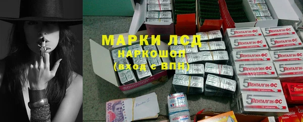 амф Касимов