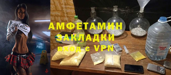 трава Карпинск