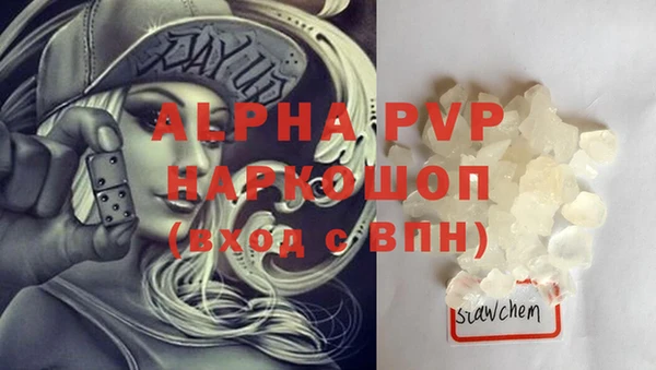трава Карпинск