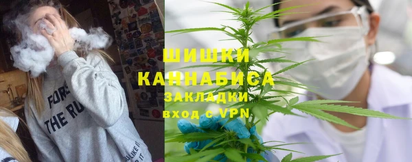 трава Карпинск