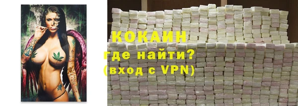 трава Карпинск